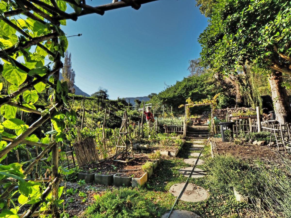 Waterland Lodge Hout Bay Exterior photo