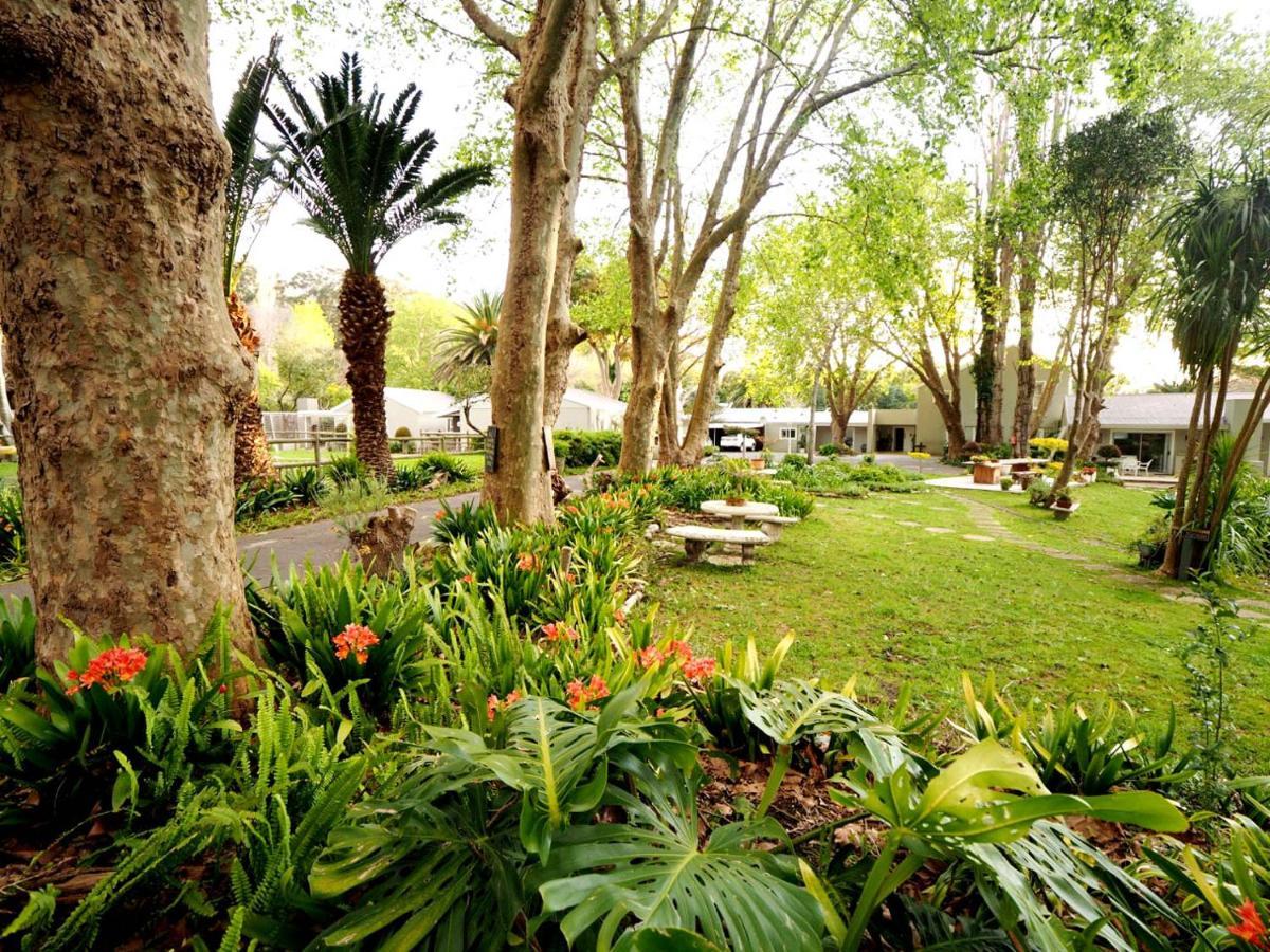 Waterland Lodge Hout Bay Exterior photo