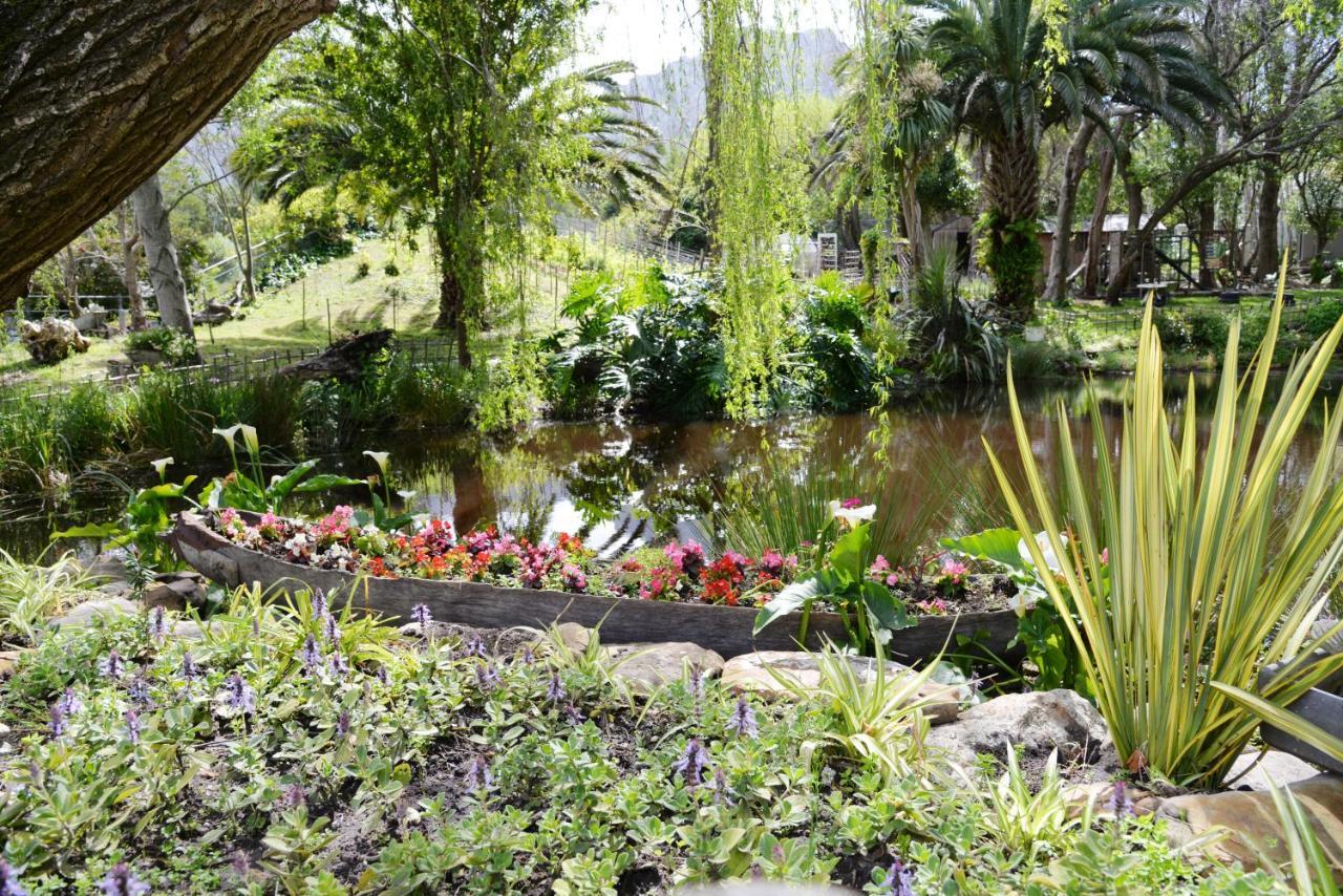 Waterland Lodge Hout Bay Exterior photo